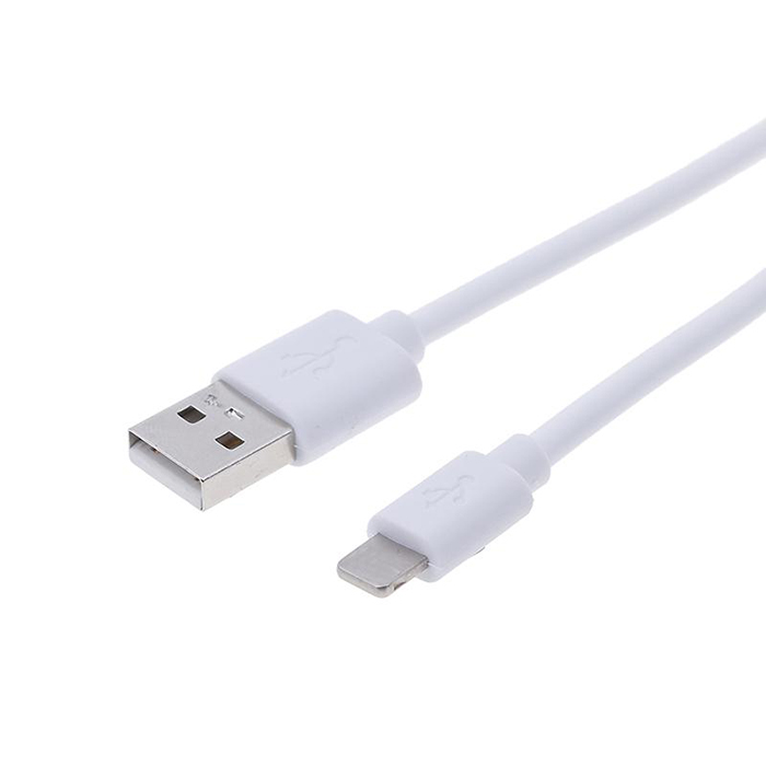 Charge and Sync Lightning Cable Box Packing 20CM Inbase Premium
